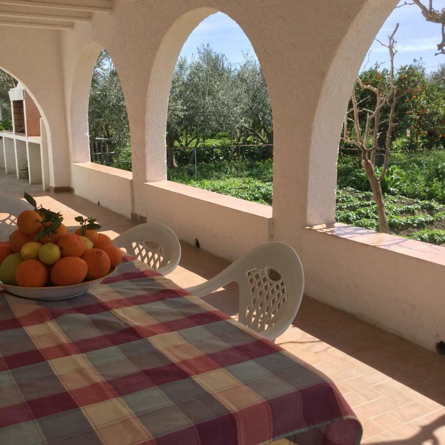El Cortijo De La Abuela Guest House Benahadux Bagian luar foto