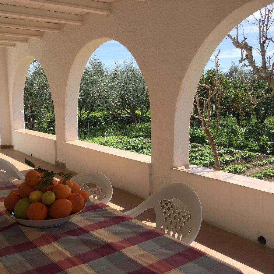 El Cortijo De La Abuela Guest House Benahadux Bagian luar foto